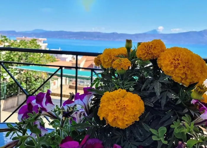 Coralli Apartment